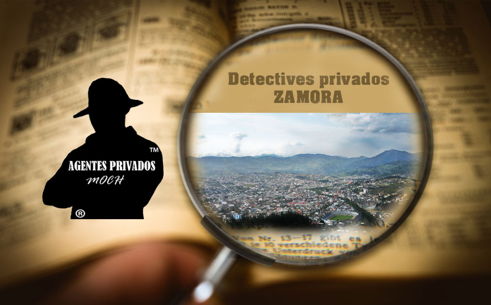 Detectives Privados Zamora